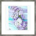 Fluffy Flowers Framed Print