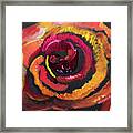 Fluorescent Rose Framed Print