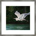 Fly By Framed Print