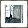 Fly Watching Framed Print