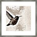 Flying Into The Light Framed Print