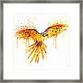 Flying Parrot Watercolor Framed Print