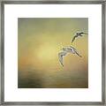 Flying Seagulls Framed Print