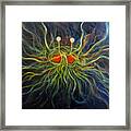 Flying Spaghetti Monster Framed Print