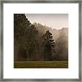 Fog Dance Framed Print