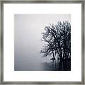 Fog Day Afternoon Framed Print