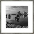 Fog In The Bay 1 Mono Framed Print