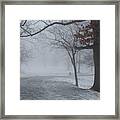 Fog In The Park Framed Print