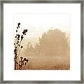 Foggy Meadow 2 Framed Print