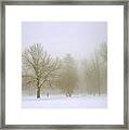 Foggy Morning Landscape 8 Framed Print