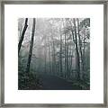 Foggy Sunrise Framed Print