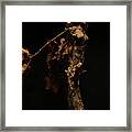 Foliated Victory Detail Framed Print