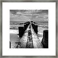 Folly Beach Pilings Charleston South Carolina In Black And White Framed Print