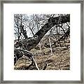 Fone Hill Cemetery Framed Print