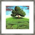 Fool On The Hill Framed Print