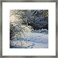 Foot Prints Framed Print