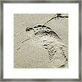 Footprint In The Sand  - South Beach Miami Framed Print