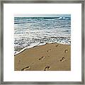 Footprints In The Sand Delray Beach Florida Framed Print