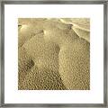 For Your Consideration Framed Print