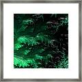 Forbidding Haunted Forest Framed Print