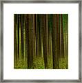 Forest Abstract01 Framed Print