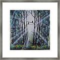 Forest Birds Framed Print