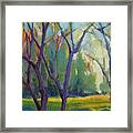 Forest In Spring Framed Print