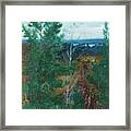 Forest Landscape Framed Print