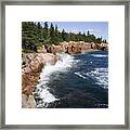 Forest Meets The Sea Framed Print