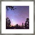 Forest Night Star Delight Framed Print