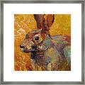 Forest Rabbit Iii Framed Print