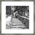 Forest Stairway Framed Print