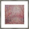 Forest Stillness. Framed Print
