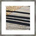 Forest Sundial In February Framed Print