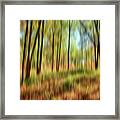 Forest Vision Framed Print