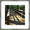 Forest Walk Framed Print