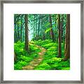 Forest  Walk Framed Print