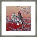 Forever Finch Framed Print