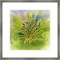 Forsythia Study 1 In Watercolor Framed Print