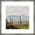 Fountain Hills Arizona Framed Print