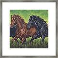 Four Horses Framed Print