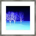 Four Trees In Snow Framed Print