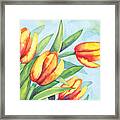 Four Tulips Framed Print