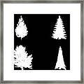 Four White Fir Trees Framed Print