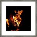 Fox Fire Framed Print
