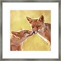Fox Love Series - World Friendship Day Framed Print