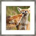 Foxy Love Series - But Mo-om Framed Print
