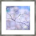 Fragile Icy World Framed Print