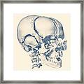 Fragmented Human Skull - Vintage Anatomy Print Framed Print