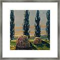 France Iv Framed Print